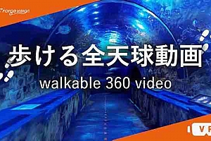 Oculus Quest 游戏《步行 360 度全景视频》Walkable 360 Video