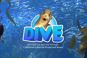 Oculus Quest 游戏《加利福尼亚海洋》DIVE VR