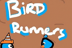 Oculus Quest 游戏《小鸟快跑VR》Bird Runners VR