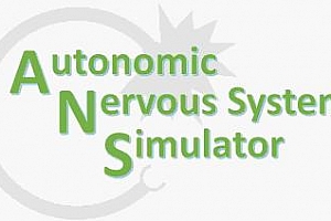 Oculus Quest 游戏《自主神经系统模拟器VR》Autonomic Nervous System Simulator