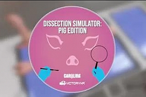 Oculus Quest 游戏《解剖模拟器 小猪》Dissection Simulator – Pig Edition