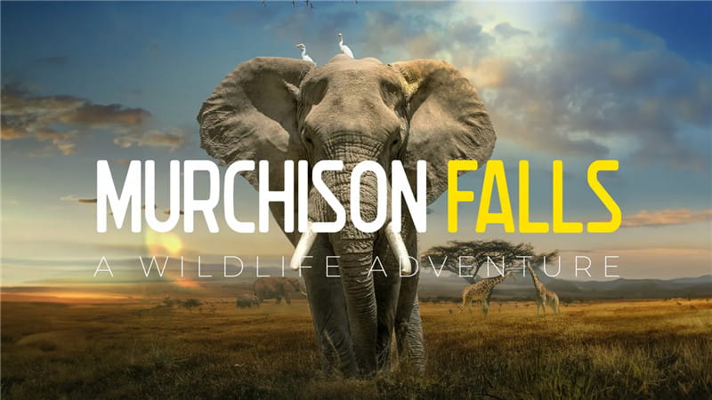 Meta Quest 游戏《野生动物探险之旅》Murchison Falls: The Awarded Wildlife Adventure with Elephants, Lions and Hyenas